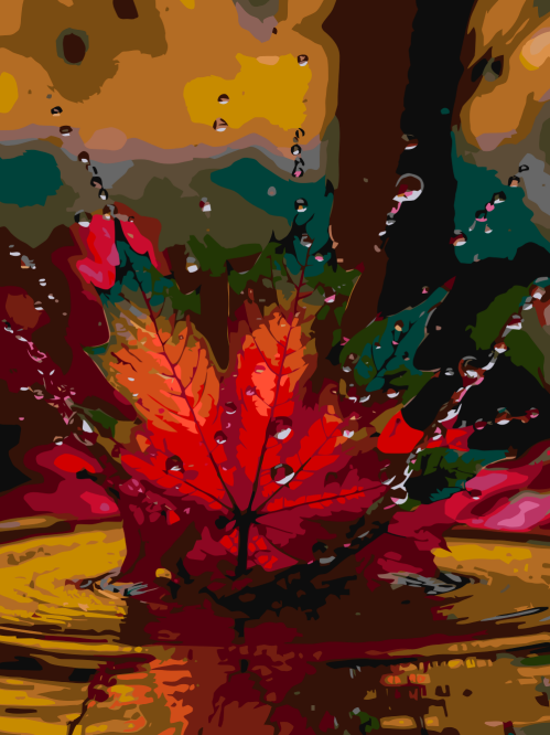 Autumn Leaf & Water Drops