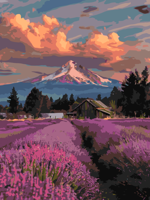 Lavender Mountain View