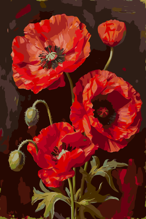 Red Poppies
