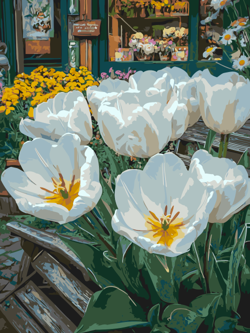 White Tulip