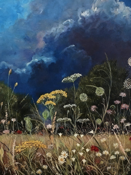 Wildflowers Under Sky