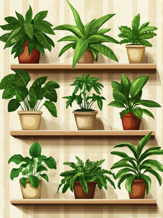 Plants Shelf F2927