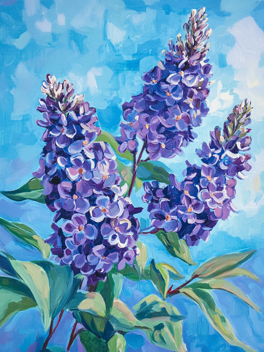 Purple Lilac